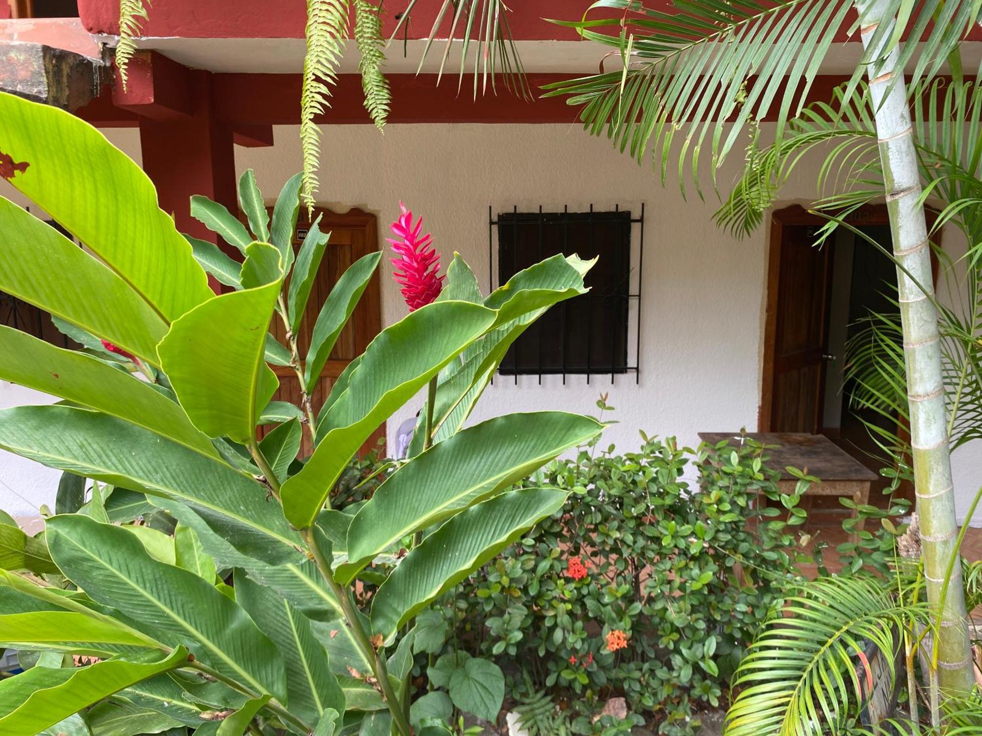 Hotel Posada La Canada Palenque Buitenkant foto
